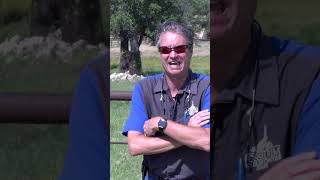 Texas Horned Lizards at Fossil Rim [upl. by Lainad]