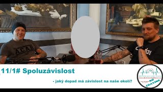 111 Spoluzávislost  jaký dopad má závislost na naše okolí Alkoholici na rovinu [upl. by Namreg]