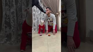 I dog apprendono un comportamento Direi propio di si……🐶 dogs dog dogfood dogvideo dogvideos [upl. by Karissa]