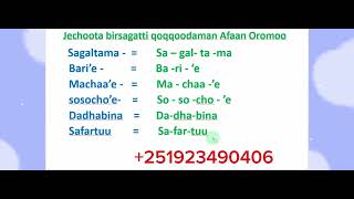 Afaan Oromoo Jechoota birsagatti qoqqoodaman Afaan Oromoo study Afaan OromooAmharic English lette [upl. by Branscum]