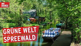 Der Spreewald von oben  Wasserlabyrinth in Brandenburg  Doku amp Reportage [upl. by Annoet243]