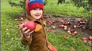 We went Apple picking [upl. by Cathlene]