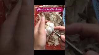 how to peel garlic easily [upl. by Ahtibbat976]