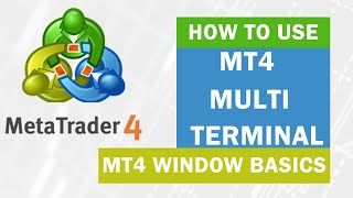 MetaTrader 4 ► How to Use MT4 MultiTerminal Window ● XM Tutorial [upl. by Anna-Maria842]