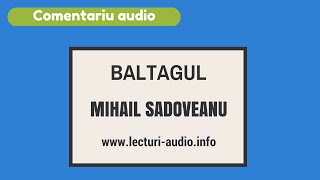 MSadoveanuBaltagul  Comentariu audio ptr bacalaureat [upl. by Ditmore283]