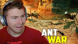 Ant Colony Simulation Is Awesome Ant Colony vs Ant Colony [upl. by Ginnifer]