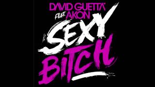 David Guetta ft Akon  Sexy Bitch HQ [upl. by Ttayh946]