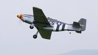 P 51 MUSTANG  TOPFLITE 60 ARF RC PLANE [upl. by Orling]