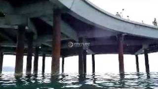 Jumping off lorne pier [upl. by Nnylak585]