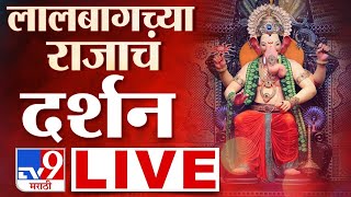 Lalbaugcha Raja LIVE  लालबागच्या राजाचे दर्शन लाईव्ह  Mumbai Ganeshotsav 2024  tv9 marathi live [upl. by Vanny]