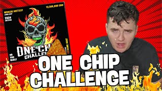 One chip challenge [upl. by Nosduh]