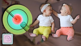 How To Have Twins Get the Truth from a Fertility Expert [upl. by Constantina]