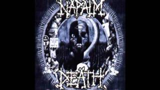 Napalm Death  Puritanical Punishment Beating [upl. by Eimak]