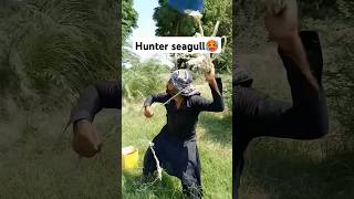 Hunter for seagull 🥵fouryouvillagelifefrming kisanhumor humanity entertainment growanimals [upl. by Kelwin]