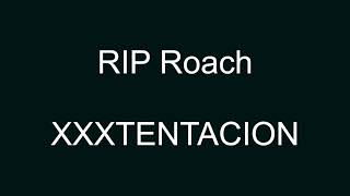 4K8D XXXTENTACION  RIP Roach lyrics [upl. by Raama]