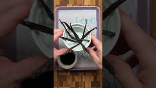 Triple Vanilla Cake  When to Use Vanilla Extract vs Beans vs Paste baking [upl. by Nakah]