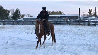 Kiks 101  Quality In The Hackamore  Day 27  Ride 22 [upl. by Kristel]