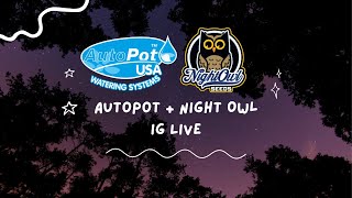 AutoPot  Night Owl  IG Live Replay [upl. by Eninahpets]