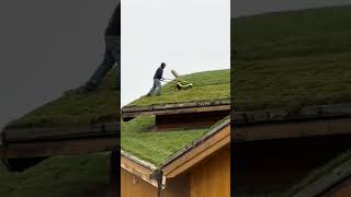 Mowing Your Grass Roof [upl. by Thedrick162]