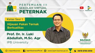 HIJAUAN PAKAN TERNAK BERKUALITAS  SEKOLAH VIRTUAL PETERNAK [upl. by Atinrahc]