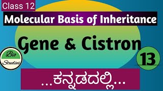 Class 12  Molecular Basis of Inheritance  13 [upl. by Tate472]