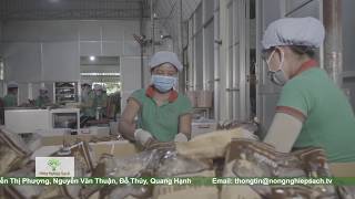 TỈNH TRÀ VINH CUNG ỨNG 100 TẤN CƠM CHÁY CHÀ BÔNG MỖI NĂM CHO THỊ TRƯỜNG [upl. by Eadwine]