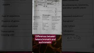 differences between heterochromatin and euchromatin region [upl. by Otiv479]