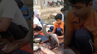 amazing Rui fish speedcutting fish fishcuttingskill [upl. by Ardnasela233]