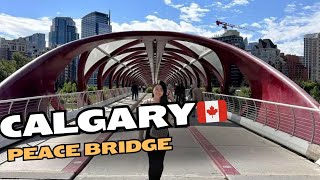 Calgary Peace Bridge walking tourCalgary Canada 🇨🇦 [upl. by Yaakov908]