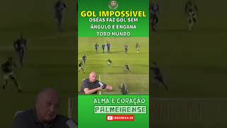 FELIPÃO FICOU PISTOLA NO GOL DO TÍTULO [upl. by Chiquia]