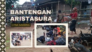 BANTENGAN ARISTASURASPESIAL live Rmhibu CITRA WEEDING KIDALTUMPANG [upl. by Deacon]