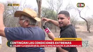 Continúan las condiciones extremas en el Chaco Paraguayo [upl. by Yuhas]