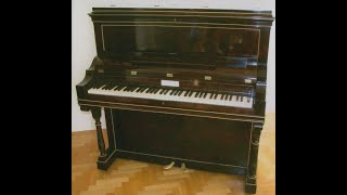 Restoration video of a special Chopin Pleyel Piano made for Natalia Obreskoff [upl. by Py]