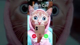 JOHN CAT 🐯 is CALLING 😂 johnycat [upl. by Hendrika649]