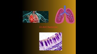 Trachea Bronchi and Bronchioles [upl. by Nyloj706]