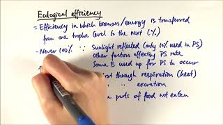 A2 Biology  Ecological efficiency OCR A Chapter 232 [upl. by Siubhan]