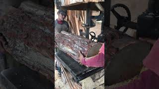 Sawmill in action 1503 [upl. by Duck]