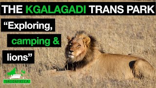 Kgalagadi Transfrontier Park  All the Info YOU NEED  South Africa [upl. by Lenno286]