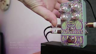 Digitech Polara Reverb Pedal Discontinued Lexicon algorithms [upl. by Ominorej]