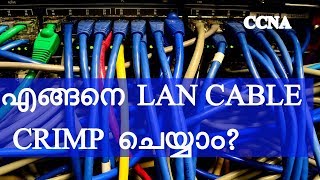 048 CCNA TRAINING  HOW TO MAKE LAN CABLE  CCNA NETWORKING CLASS IN MALAYALAM [upl. by Erreit]