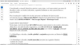 2 a Identifique e desenhe oÂ tecido epitelialÂ eÂ conjuntivosÂ presentes na lÃ¢mina deÂ PELE GROSSA [upl. by Ariet]