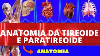 ANATOMIA DA TIREOIDE E PARATIREOIDE ANATOMIA HUMANA  ANATOMIA DO SISTEMA ENDÓCRINO [upl. by Yren]