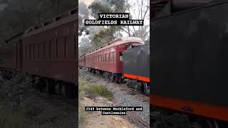 J549 pulling the Victorian Goldfields Railways Members Train steamtrain [upl. by Fabrianne]