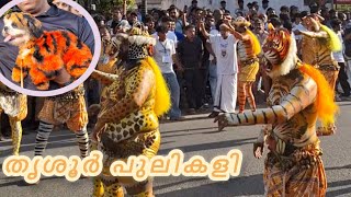 തൃശൂർ പുലികളി  ഓണാവസാനം 🔥🌸🏵Dongil Media 🔥🔥 [upl. by Laertnom]