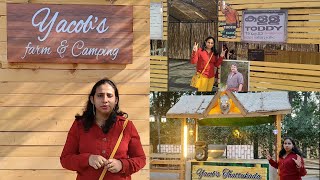 Yacobs farm  Yacobs farm amp camping  Farms in Ajman  Resorts Events Catering [upl. by Le473]