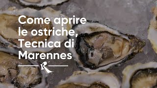 Come aprire le ostriche tecnica di Marennes  How to open oysters the Marennes Technique [upl. by Kartis]