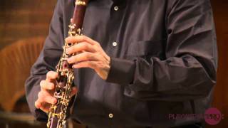 Clarinet lessons with Charles Neidich 2nd clarinet sonata Brahms [upl. by Divine]