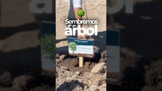 ¡Sembremos un árbol  Ciudad Maderas [upl. by Haggi]