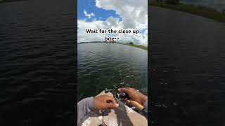 ATE IT RIGHT AT THE DOCK dinksanddoinks fishing berkleynessie florida swimbait glidebait [upl. by Hewett]