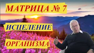 Исцеление Всего Организма и РегенерацияМатрица №7 [upl. by Emsoc]